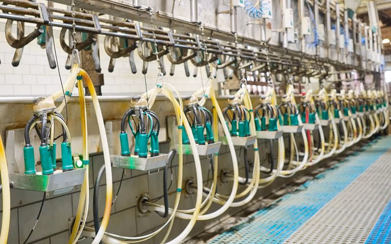 DairyProX | Semi-Automated Milking System