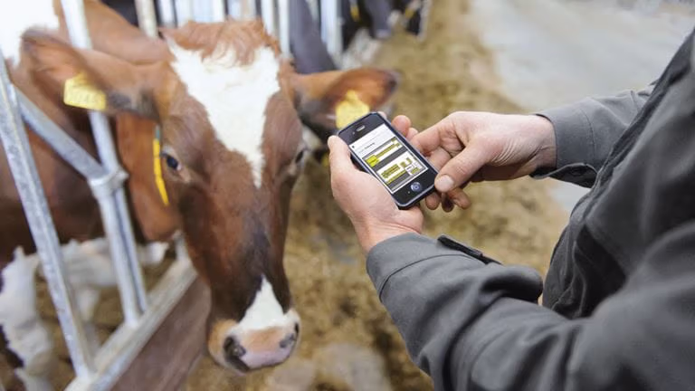 Smart farming – Better health for cows