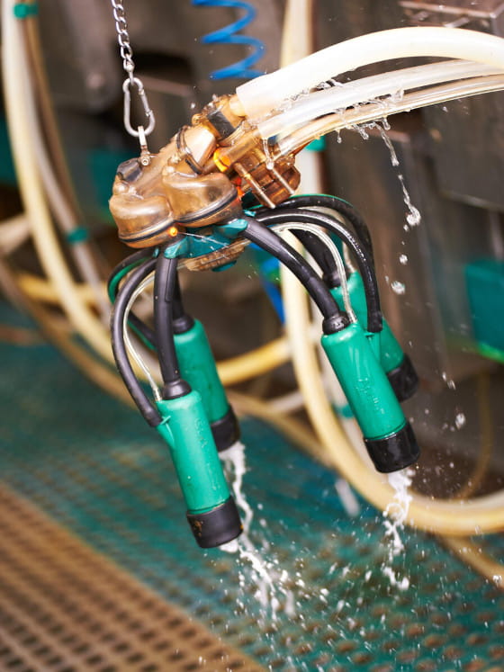 ApolloMilkSystem | Automated Teat Dipping and Backflushing Milking Unit