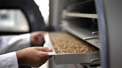 Freeze dried pet food