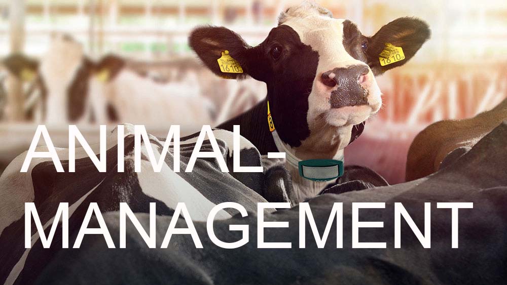 DairyNet - Module Herd