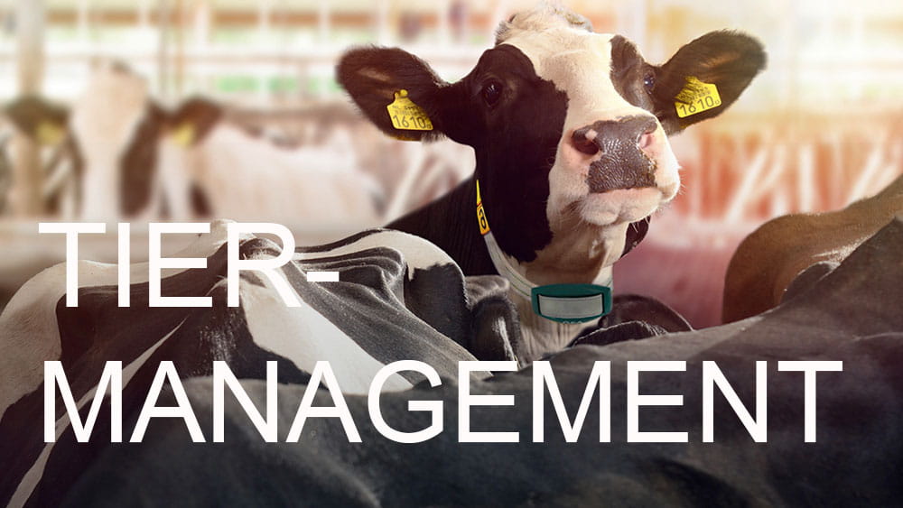 DairyNet - Modul Herde