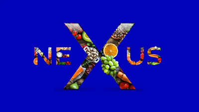 GEA Nexus GEA Nexus