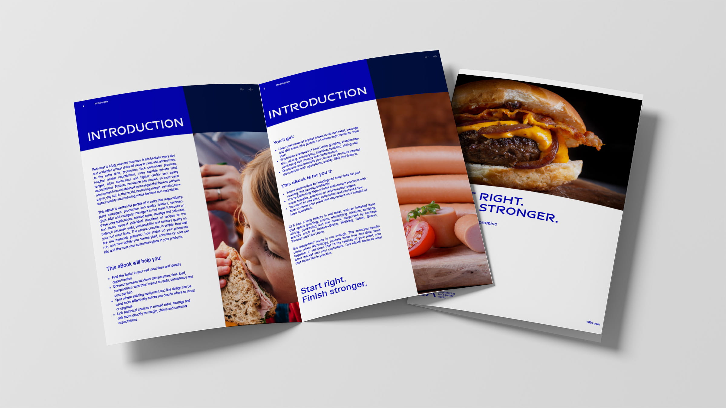red meat ebook
