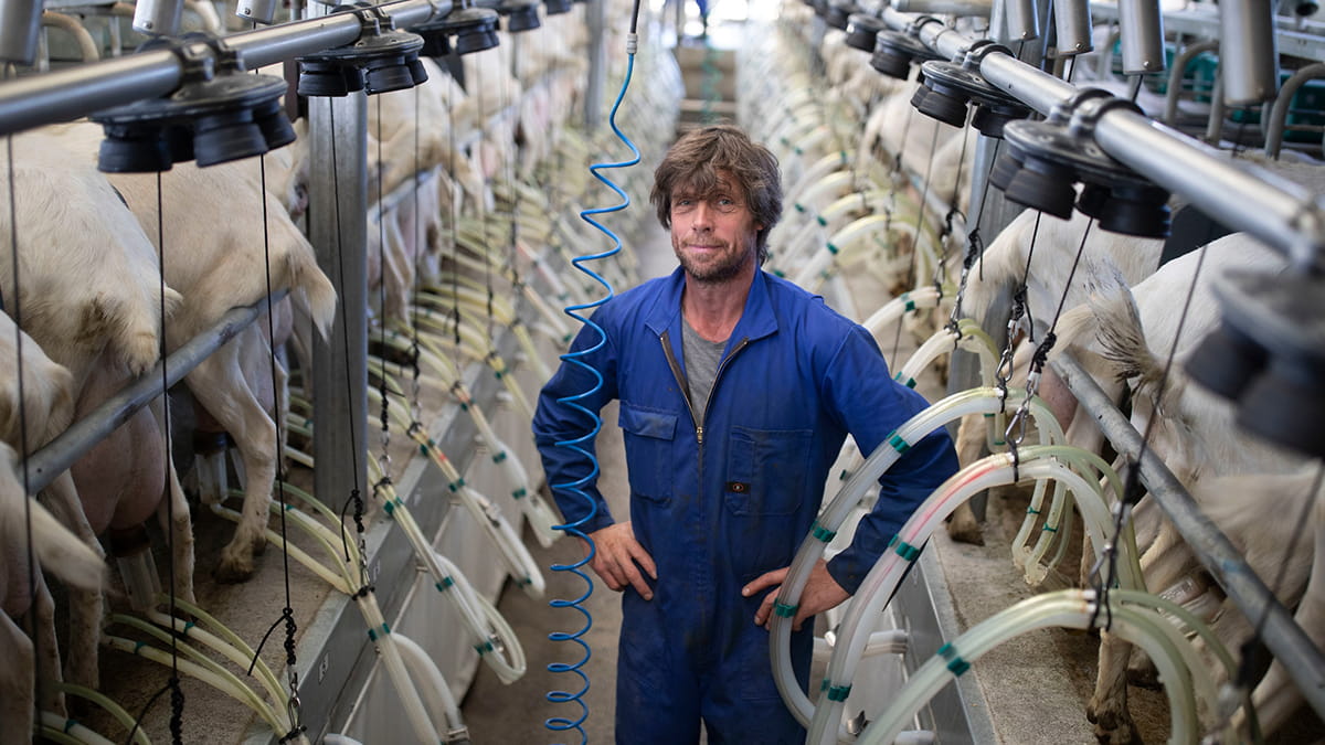 Customer story - Goat Farming