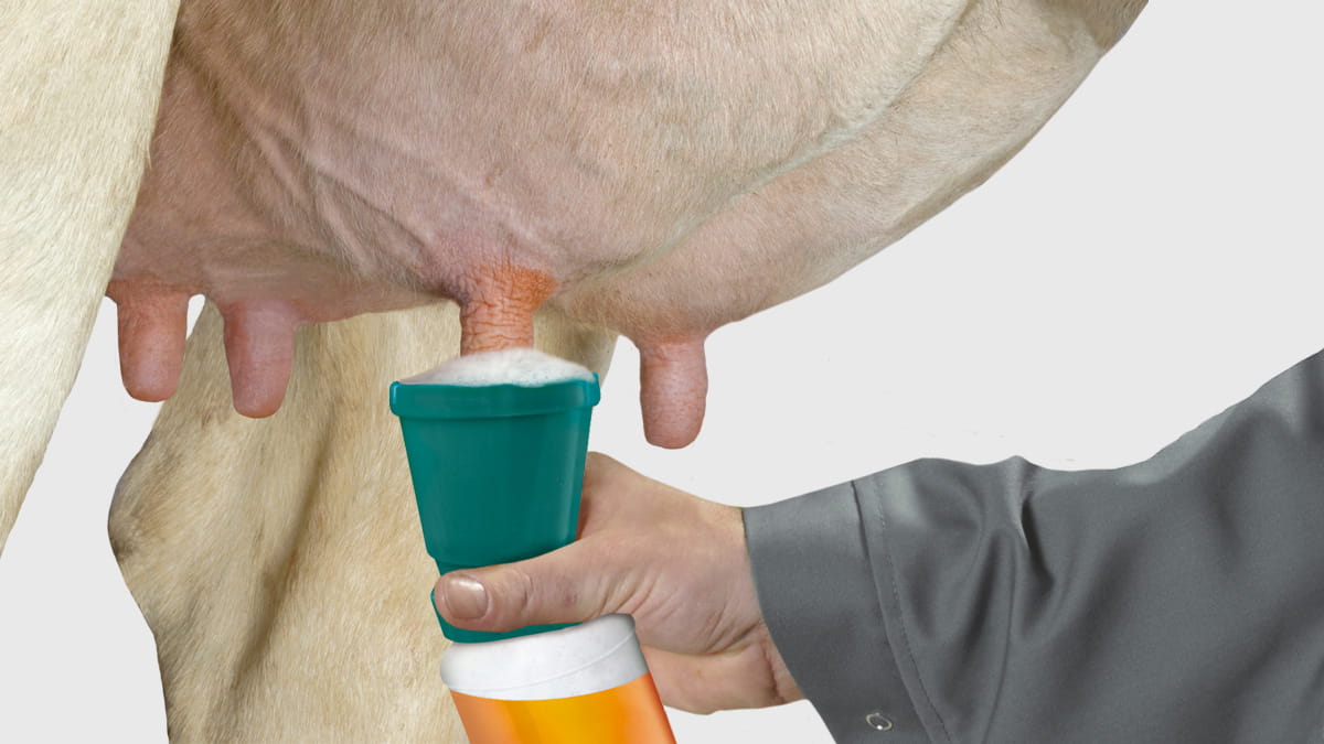 Animal Hygiene