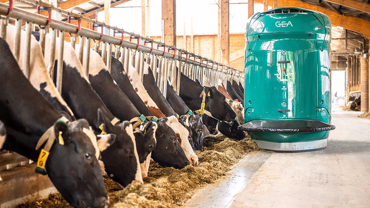 Robot alimentador GEA DairyFeed F4500